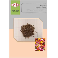 Sementes de Helichrysum Sempre-Viva (Sortida) Super ISLA - comprar online