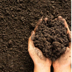 Substrato Cactos Suculentas Rosa do Deserto (2Kg) ALL GARDEN - loja online