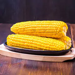 Sementes de Milho Doce Azteca (100g) TOPSEED - loja online