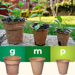 KIT Vasos Biodegradáveis Grande (3 unidades) NAGMOBIO na internet