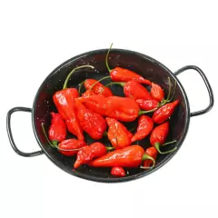 Imagem do Sementes de Pimenta Cascavel (Bhut Jolokia) FELTRIN