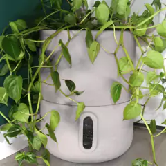 Vaso Autoirrigável Decor Urbi M (25X33) Cor Areia BROTA - loja online