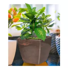Cachepô Elegance Quadrado 02 (1,7L) Café Imperial NUTRIPLAN na internet