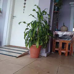 Vaso Milano sem Prato (P-20,5x18,5) Cor Cerâmica RIQUEPLÁS - loja online