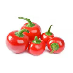 Sementes de Pimenta Bode (Vermelha) TOPSEED - comprar online