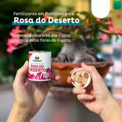 Imagem do Fertilizante Farinha de Ossos (2,5Kg) VITAPLAN