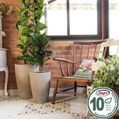 Vaso Liso Cônico 30 (20L) Cor Macchiato JAPI - comprar online