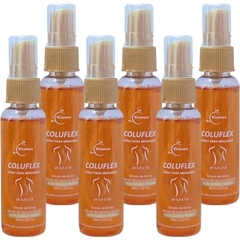 Spray Massageador Coluflex Extra Forte Castanha India 60ml - GuaruNaturals | Atacado e Varejo - Frete Grátis | Produtos Naturais
