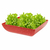 Saladeira Quadrada 1,4 Lt Travessa Petisqueira Vermelho