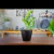 3 un Vaso plantas colmeia decorativo flor G Preto - comprar online