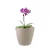2 un Vaso plantas colmeia decorativo flor G CINZA - comprar online