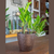 12 un Vaso plantas colmeia decorativo flor G MARROM ESCURO - comprar online