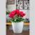 4 un Vaso plantas colmeia decorativo flor G BEGE - comprar online