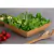 2un Saladeira Quadrada 1,4 Lt Travessa Petisqueira Marrom Cl na internet