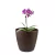 2 un Vaso plantas colmeia decorativo flor G MARROM ESCURO - GR GASTRONOMIA E DECORAÇÃO