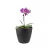 Vaso plantas colmeia decorativo flor G Preto - GR GASTRONOMIA E DECORAÇÃO