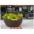 10un Tigela saladeira bowl oval 1,9lt marrom escuro - loja online