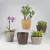 10 un Vaso plantas colmeia decorativo flor G BEGE - loja online