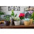 2 un Vaso plantas colmeia decorativo flor G MARROM ESCURO - loja online