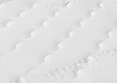 Colchão Espuma Inducol Pro Support Master Solteiro Americano 0,96x2,03x0,24 (Suporte 150Kg) - King Koil