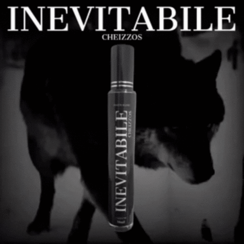 INEVITABILE - CHEIZZOS