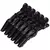 Kit 6 Presilhas Prendedor de Cabelo Crocodilo