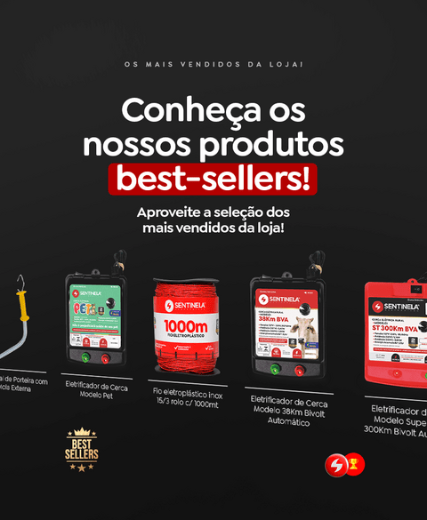 Carrossel 1