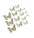 Set Mariposas Reales Surtidas Comestibles - comprar online