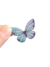 Set Mariposas Reales Chicas Comestibles en internet