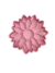 Cortante con Stamp Flor Girasol Cookies Masas en internet