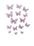 Set Mariposas Reales Surtidas Comestibles - Dolcre