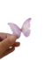 Set Mariposas Reales Surtidas Comestibles - tienda online