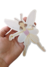 Banderin Adorno Adas Bailarinas Ballet Flores - tienda online