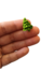 Pack Pinos Arbolitos de Navidad Formitas de Azucar - comprar online