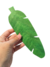 Banderin Guirnalda De Hojas Tropical Grandes Deco De Fiestas - tienda online