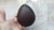 Placa Acetato Huevo Pascua Texturizado Puntitos Nro 12 - comprar online