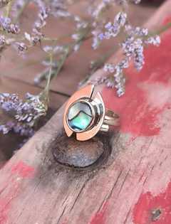 ANILLO HALIOTIS
