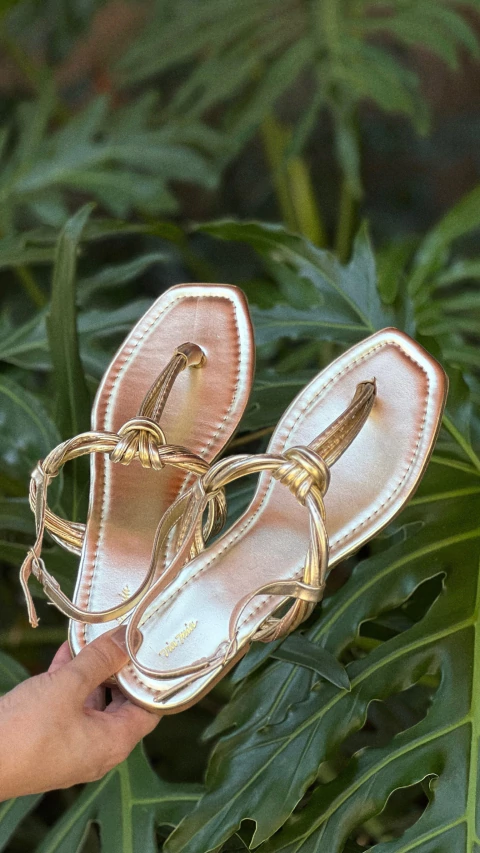 RASTEIRA DOURADA RT 1156 - comprar online