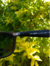 Óculos de sol ray ban wayfarer preto - Pattybrowsstore