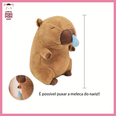 Pelúcias divertidas capivara na internet