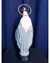 Nossa Senhora das Graças 30 cm Edição Especial - Paixão Católica