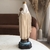 Nossa Senhora do Carmo na internet