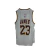 Camiseta Lakers Blanca (23) James en internet