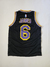 Camiseta Lakers Negra (6) James en internet