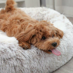 Cama Redonda Para Mascotas Gatos Perros 50 Cm Antiestrés - M&Q REGALOS