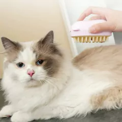 Cepillo De Vapor Para Mascota Humidificador Con Usb Higiene en internet