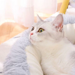 Cama Redonda Para Mascotas Gatos Perros 50 Cm Antiestrés en internet