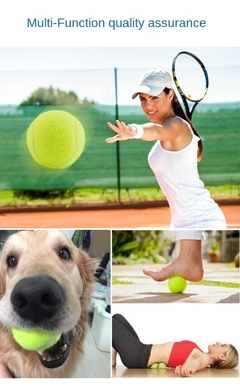 Pelota Tenis Juguete Para Perros Pack X 3 Unidades. en internet