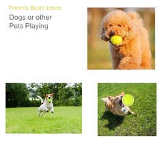 Pelota Tenis Juguete Para Perros Pack X 3 Unidades. - comprar online