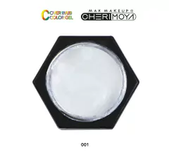 Gel Paint Cherimoya Uv/led Nail Art 5g Uñas Profesional Deco en internet